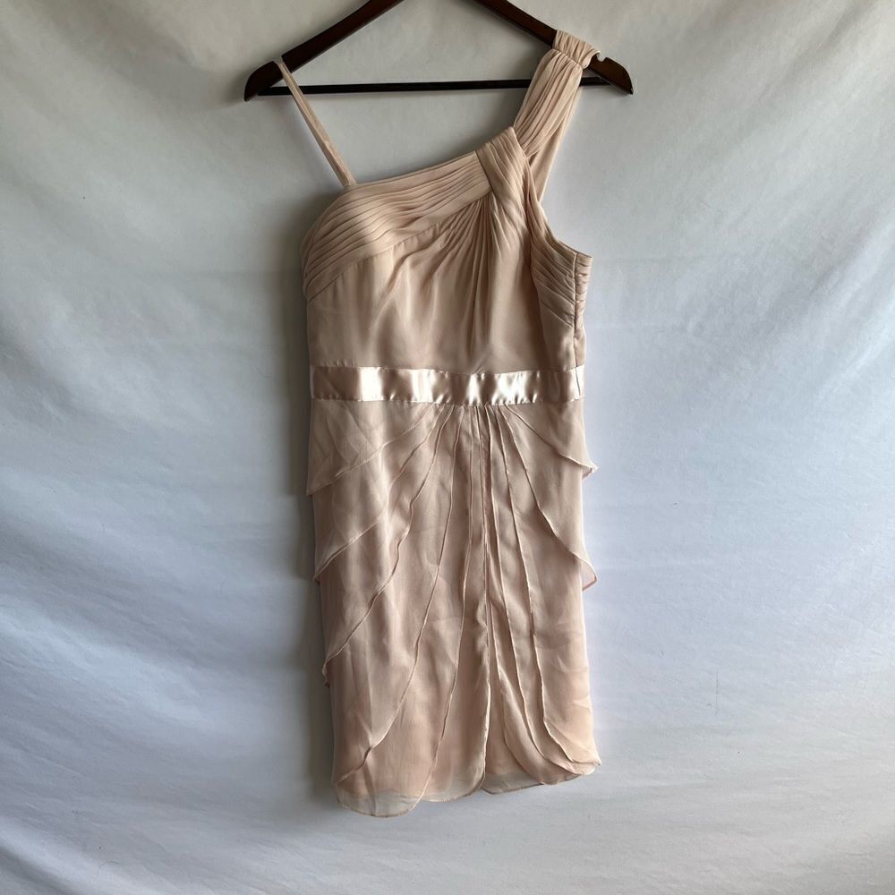 Adrianna Papell Light Pink Cocktail Dress - Picture 3 of 9